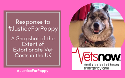 Response to #JusticeForPoppy: A Snapshot of the Extent of Extortionate Vet Costs in the UK