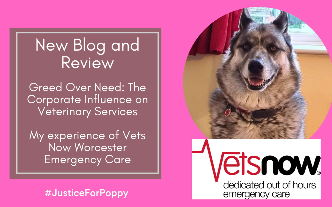 New Blog and Review: Greed Over Need – The Corporate Influence on Veterinary Services